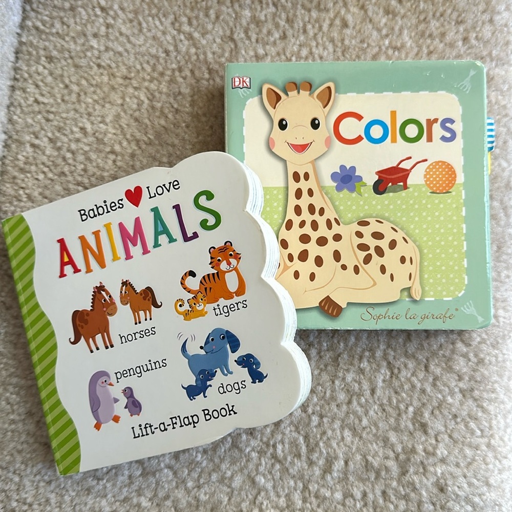 Lift-a-Flap baby board books